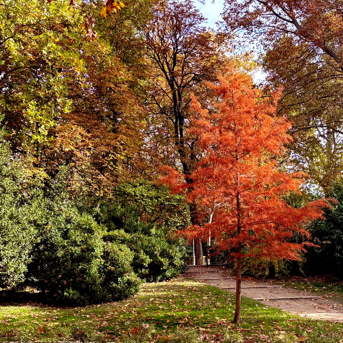 carlabqr's tweet image. El Retiro 🍂