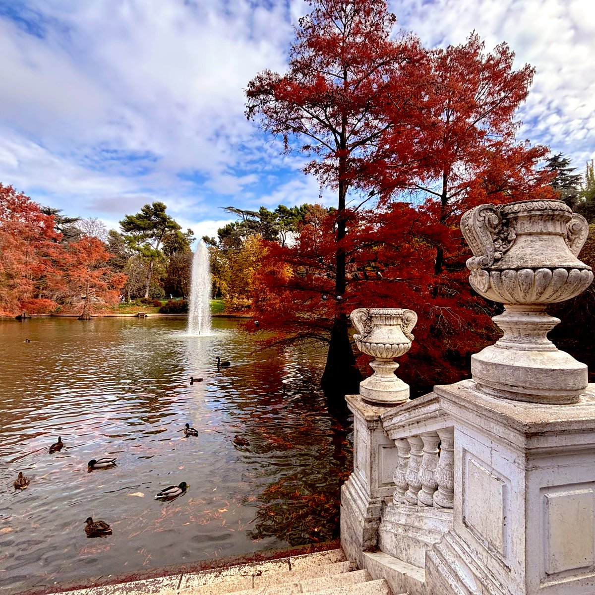 carlabqr's tweet image. El Retiro 🍂