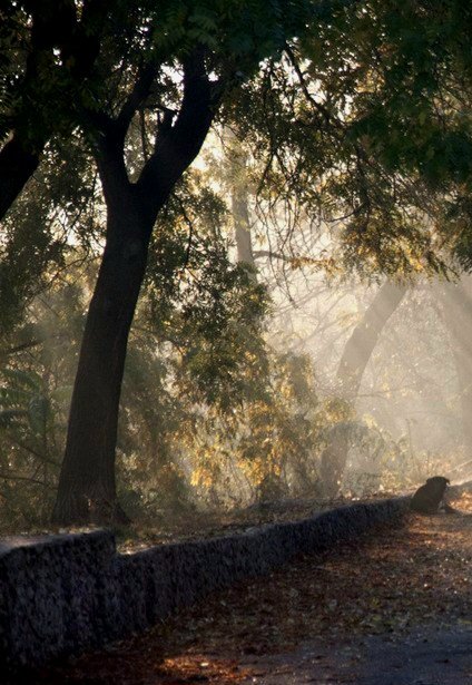 Катерина Галич tweet media