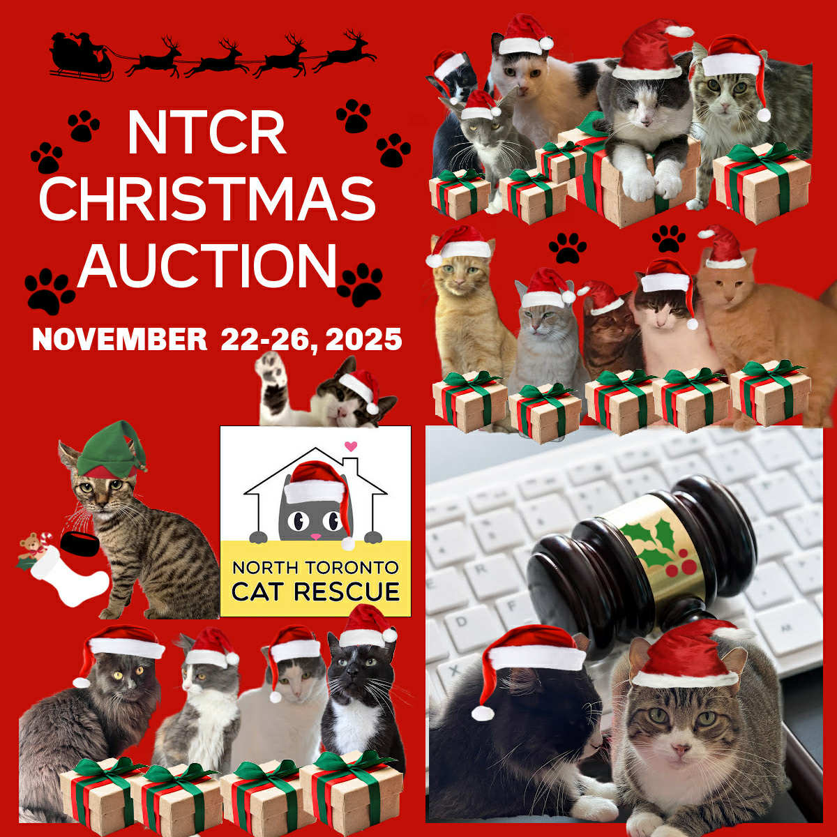 The auction will run from Saturday, November 22, 2025 until Wednesday, November 26, 2025, at 8:00pm. We need your help to sell every item—let’s make this auction a huge success for the rescue cats!

facebook.com/share/p/1CnxnF…