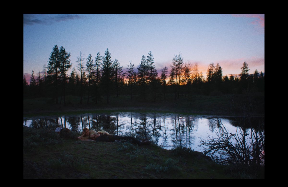 Drew Guarini tweet media