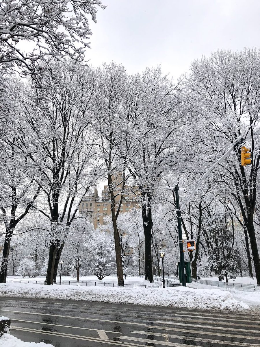 tmbIrpics's tweet photo. Central Park in the snow https://t.co/XrnqKMiAFg