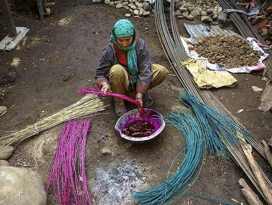 A woman in a village of Kulgam dyes wicker to make Kangris

Photo <a href="/javeddar786/">Javed Dar</a>