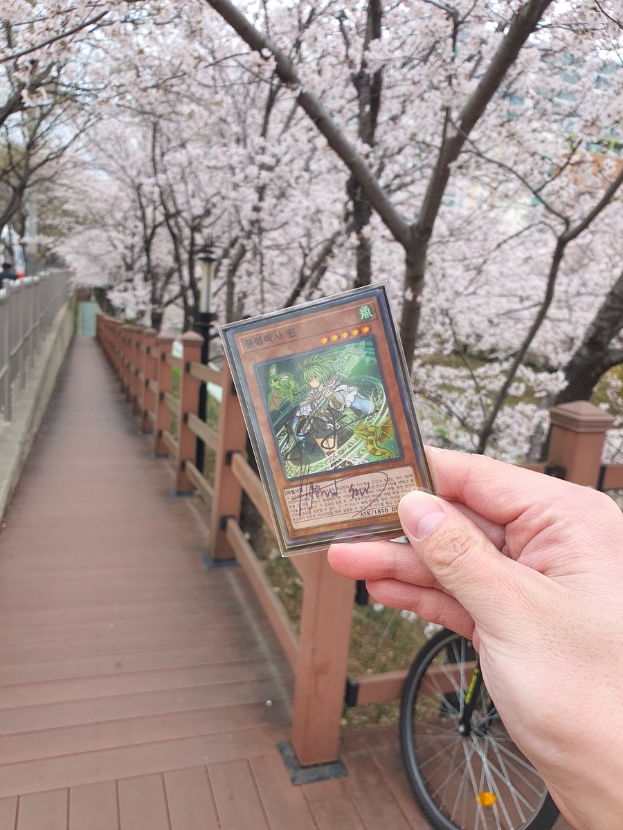 카시와기 tweet media