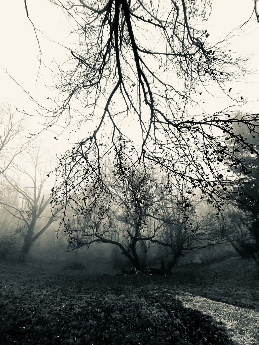 r_u_c_n_o_k_'s tweet image. 