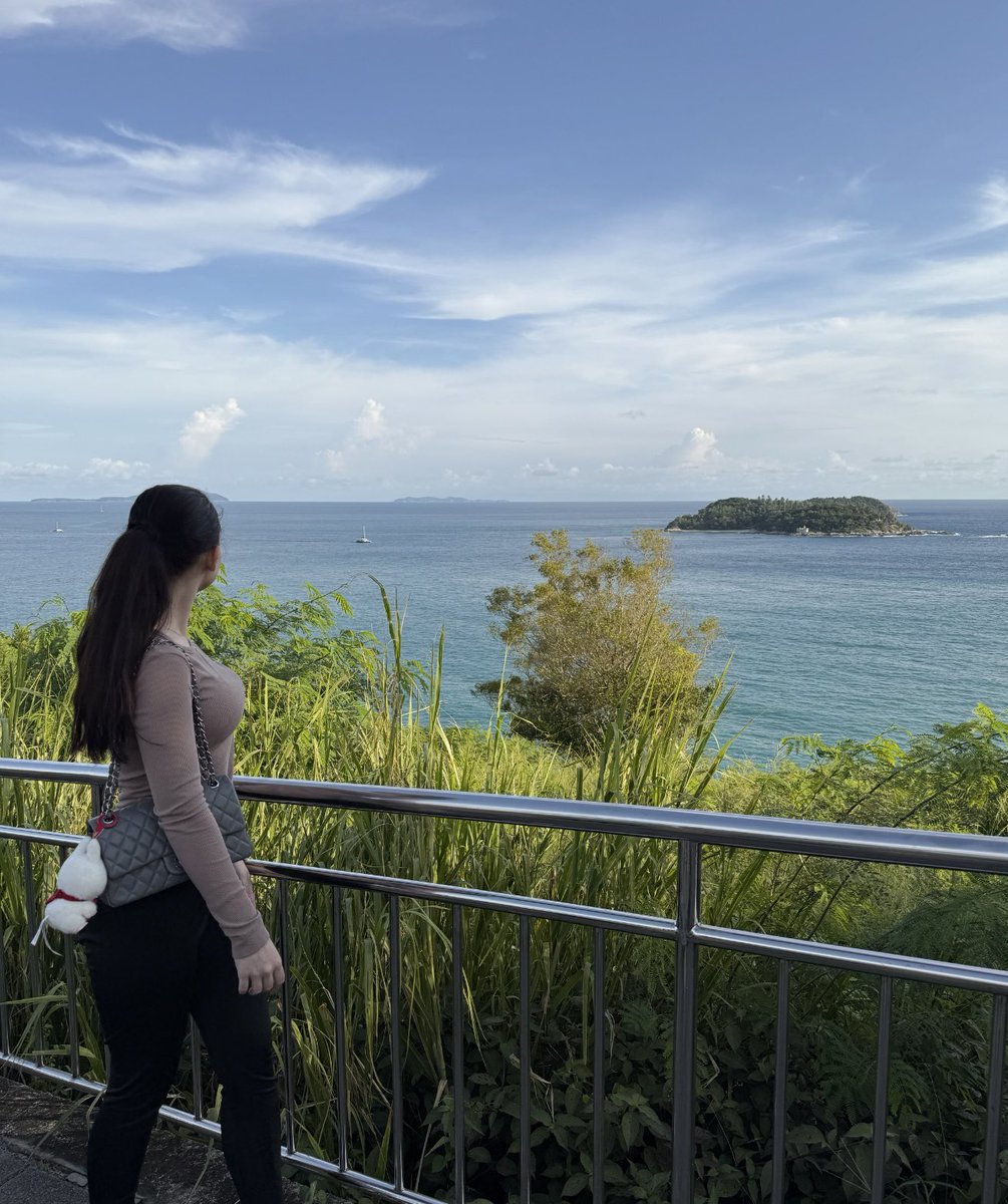 NicolOnchain's tweet image. good morning ☀️