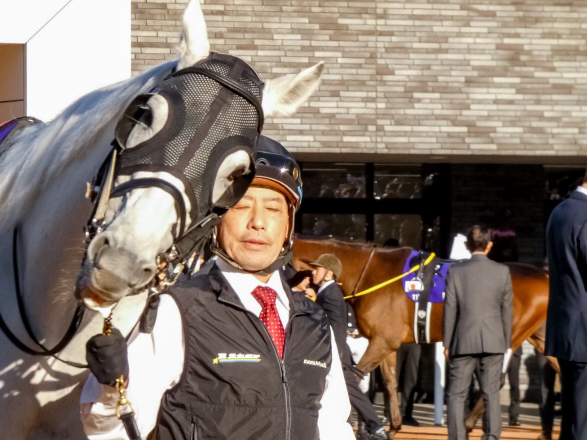 ashigen00's tweet image. 何度見てもやっぱりこのカメラ目線はズルい😅
#マイルCS
#ガイアフォース
#JRA