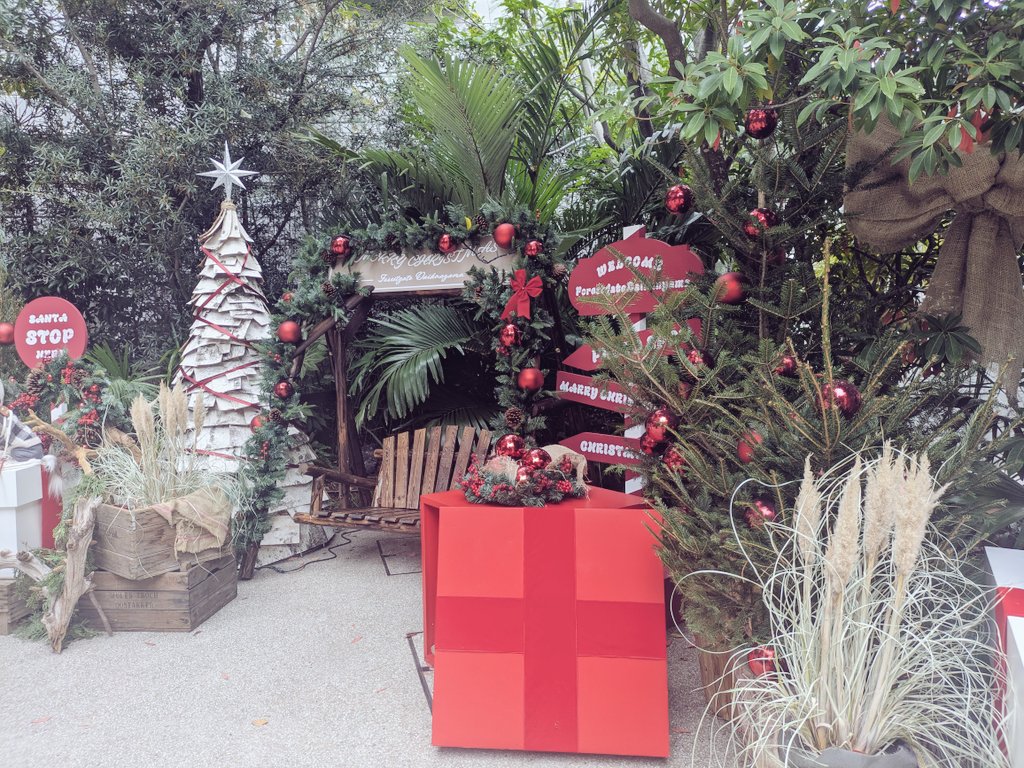 CPI3oVLad7wqxjq's tweet photo. 美しいモノ、好きなモノにたくさん触れた一日✨代官山から丸の内まで🎄
#maruo https://t.co/P2USag6ltY