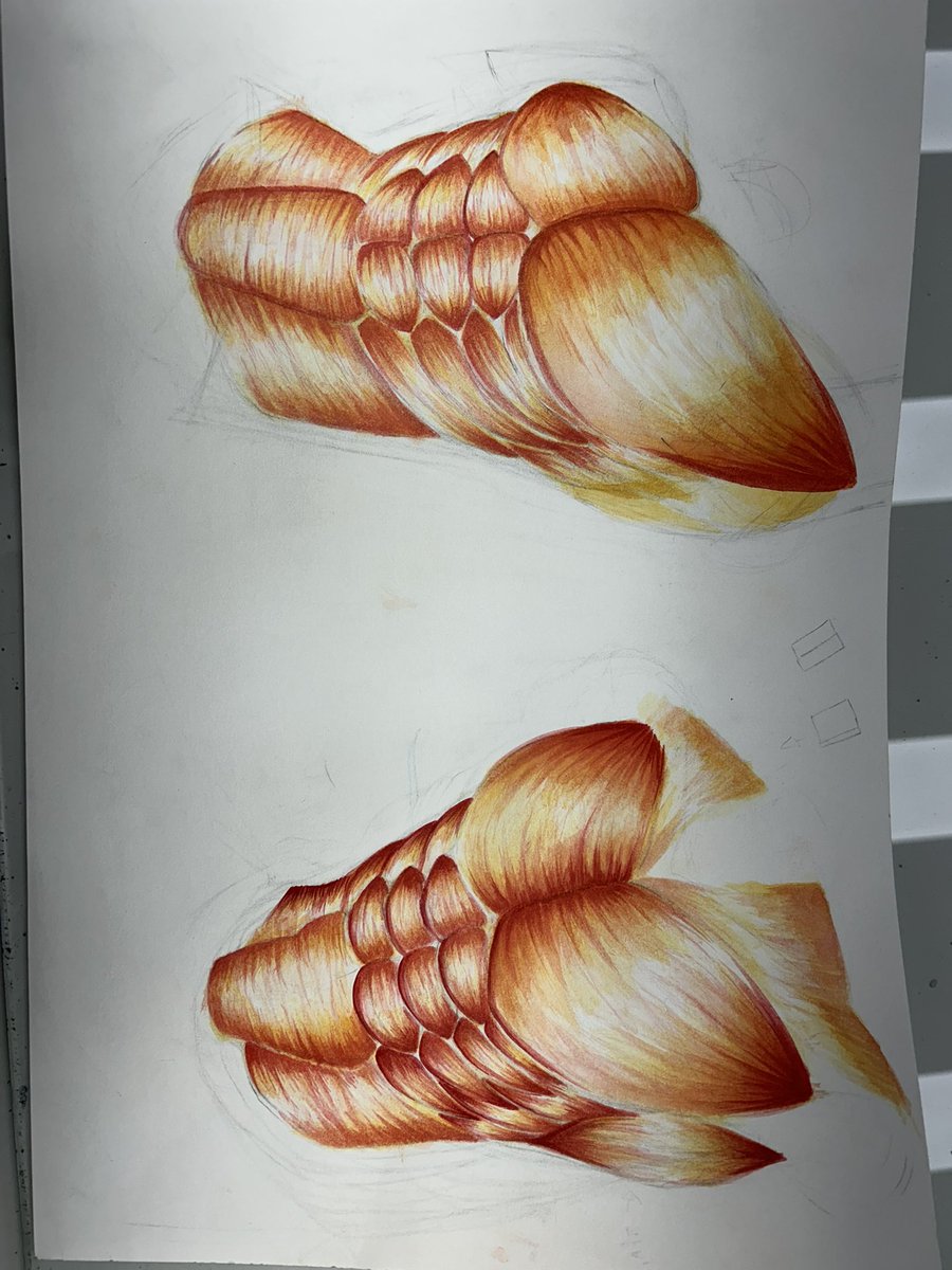 오랜마니에요 비계활동만 해가지고 여기는 전혀 활동을 못한..🥹