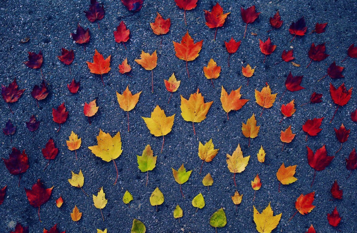 Good Sunday!
It’s Thanksgiving week! 🍁

Dear past, 
I thank you. 🙏🏼

Eternal NOW, 
I love you. ❤️

Hello future, 
I trust you. ⭐️

#sundayvibes #SundayMorning