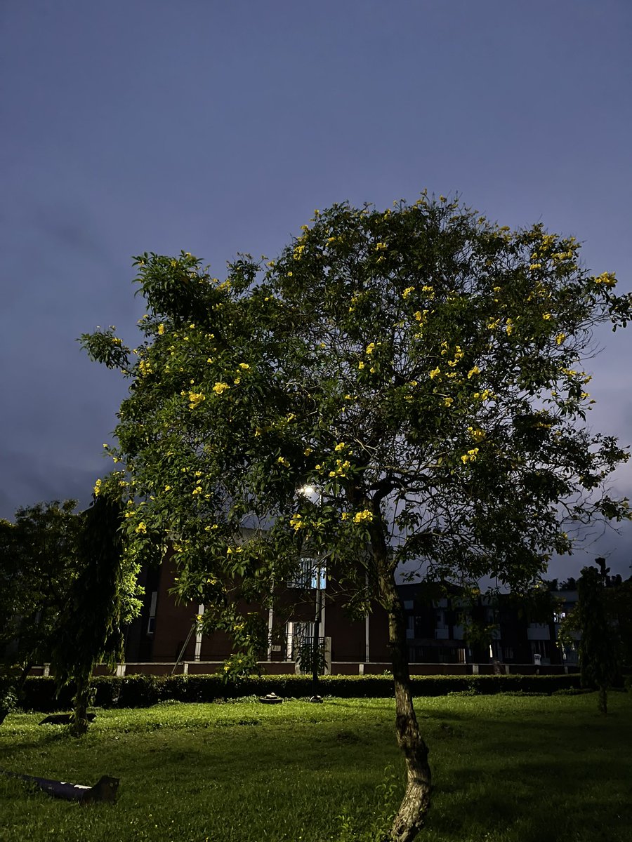 ___ogeh's tweet image. I love taking pictures🥰