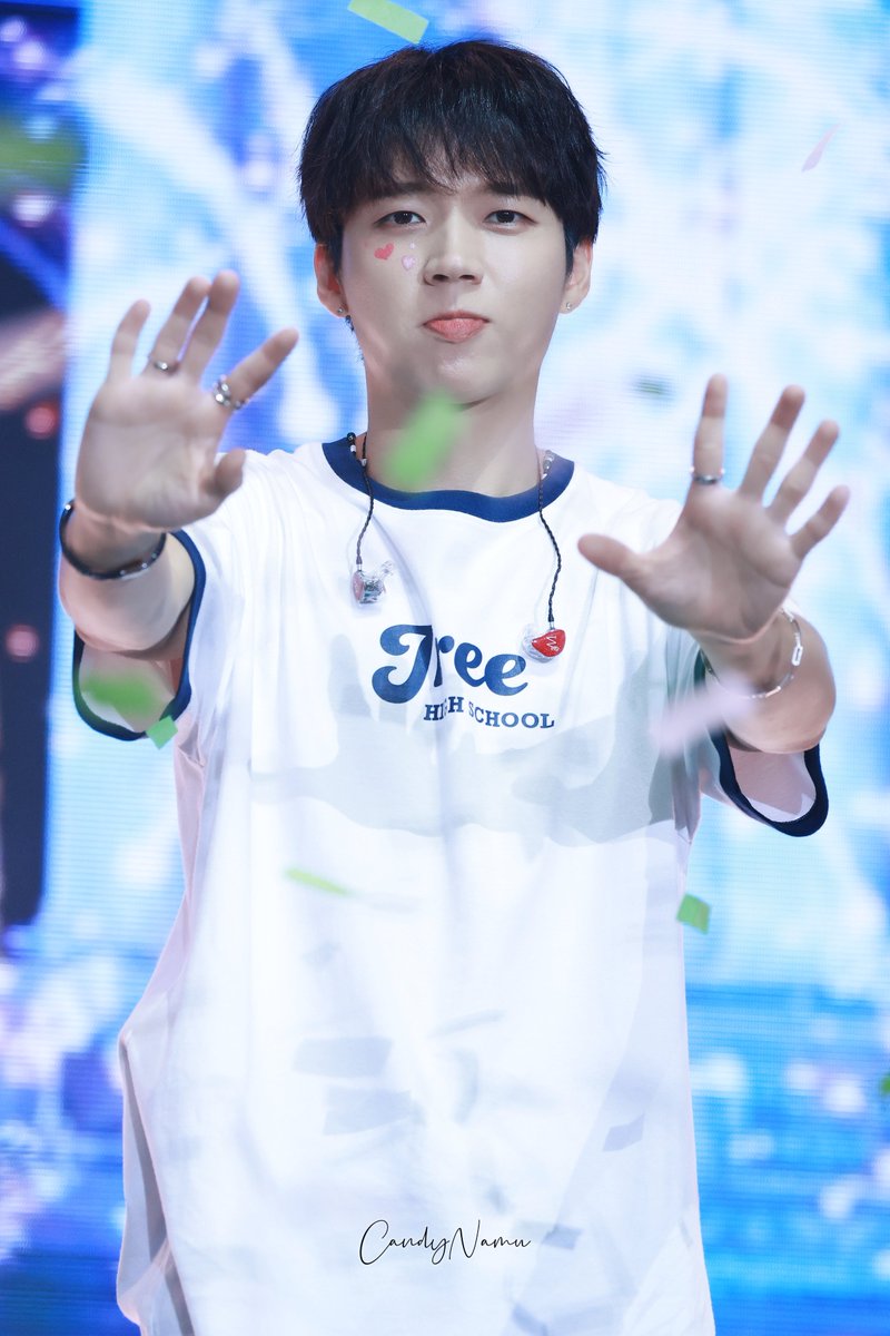 캔디나무 tweet media