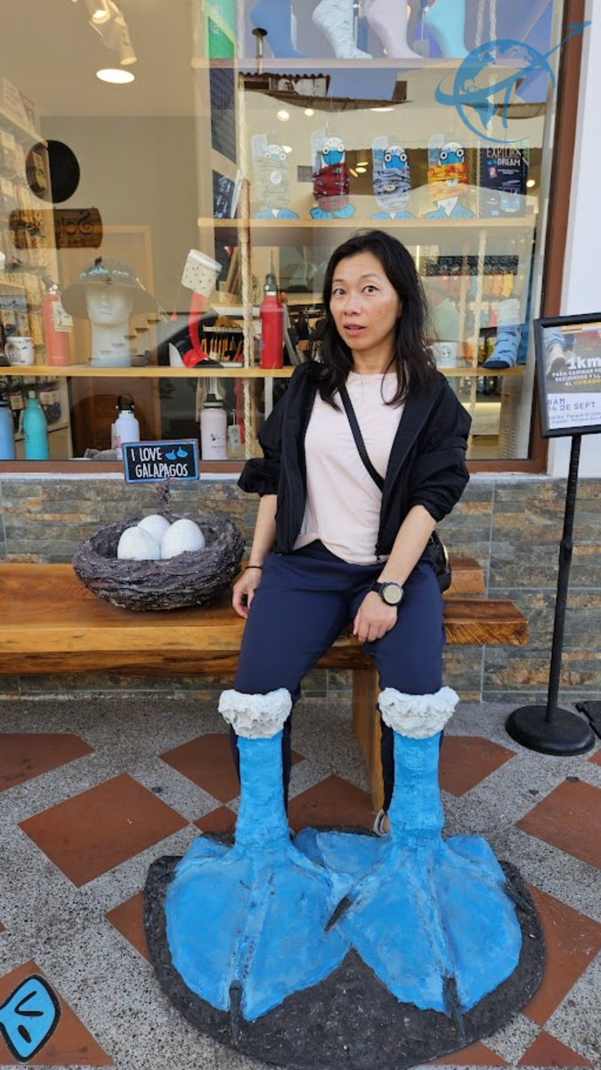 divewisely's tweet photo. When in Galápagos, blend in with the locals! 💙 Trying on our blue-footed booby era along Avenida Charles Darwin, 10/10 would stroll like this again.🦶#Galapagos #PuertoAyora #BlueFootedBooby #OnlyInGalapagos #AvenidaCharlesDarwin #GalapagosIslands #Ecuador https://t.co/hs3TfrCyy4