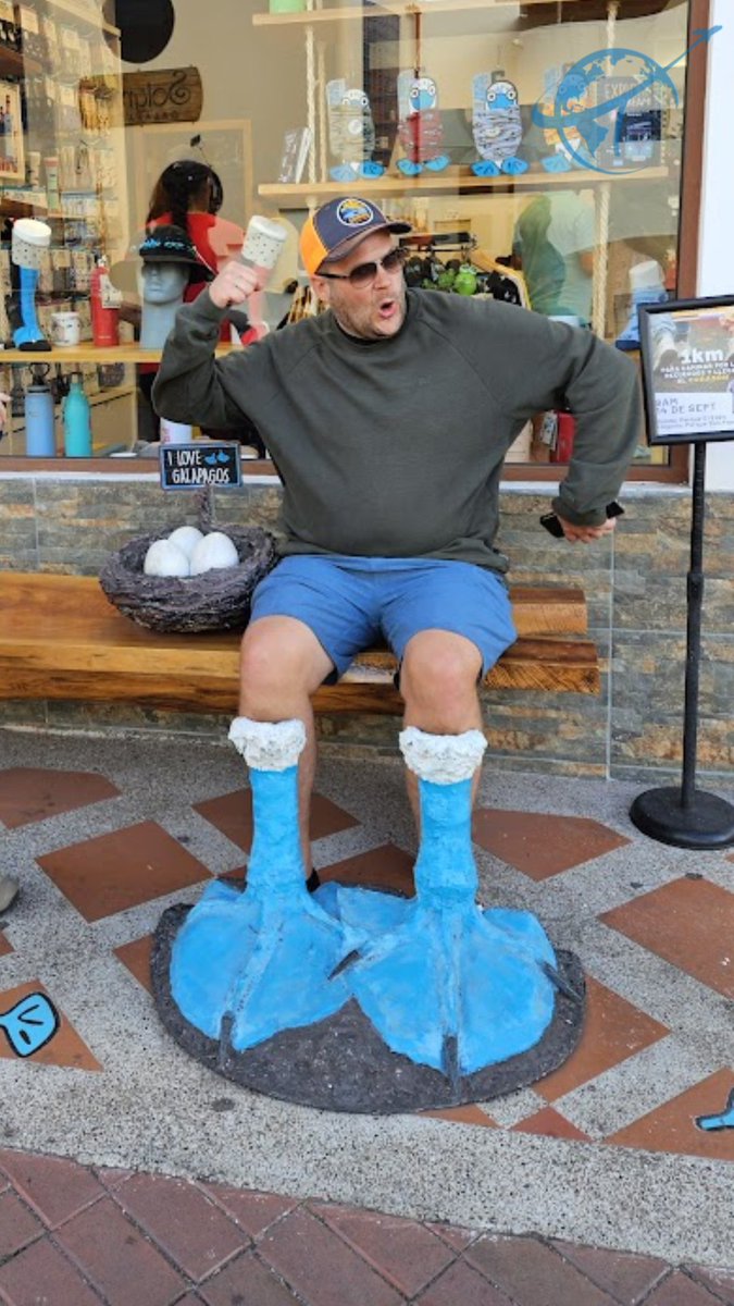 divewisely's tweet photo. When in Galápagos, blend in with the locals! 💙 Trying on our blue-footed booby era along Avenida Charles Darwin, 10/10 would stroll like this again.🦶#Galapagos #PuertoAyora #BlueFootedBooby #OnlyInGalapagos #AvenidaCharlesDarwin #GalapagosIslands #Ecuador https://t.co/hs3TfrCyy4