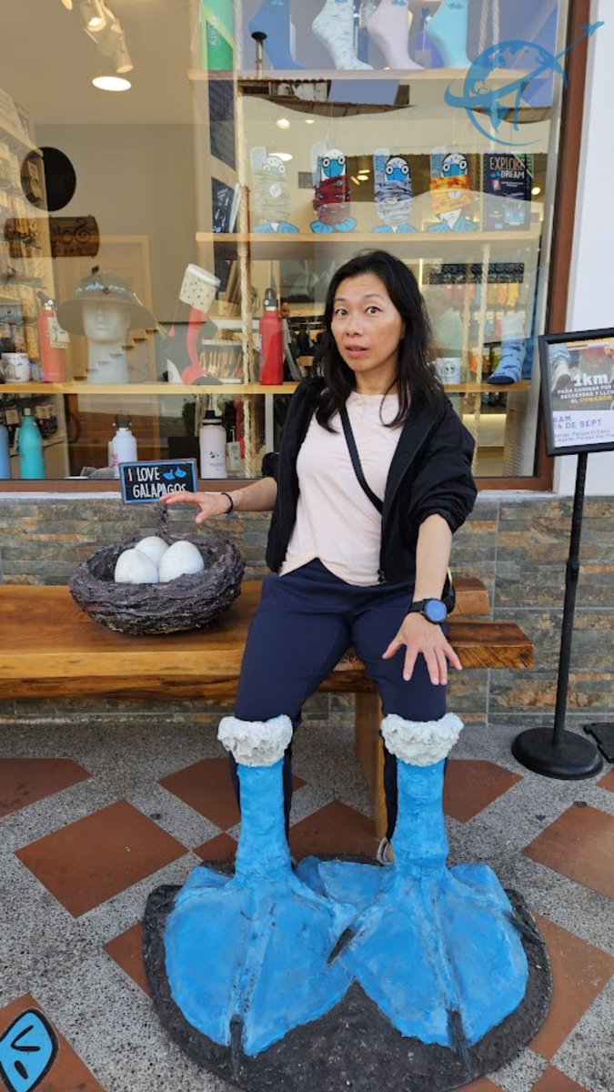 divewisely's tweet photo. When in Galápagos, blend in with the locals! 💙 Trying on our blue-footed booby era along Avenida Charles Darwin, 10/10 would stroll like this again.🦶#Galapagos #PuertoAyora #BlueFootedBooby #OnlyInGalapagos #AvenidaCharlesDarwin #GalapagosIslands #Ecuador https://t.co/hs3TfrCyy4