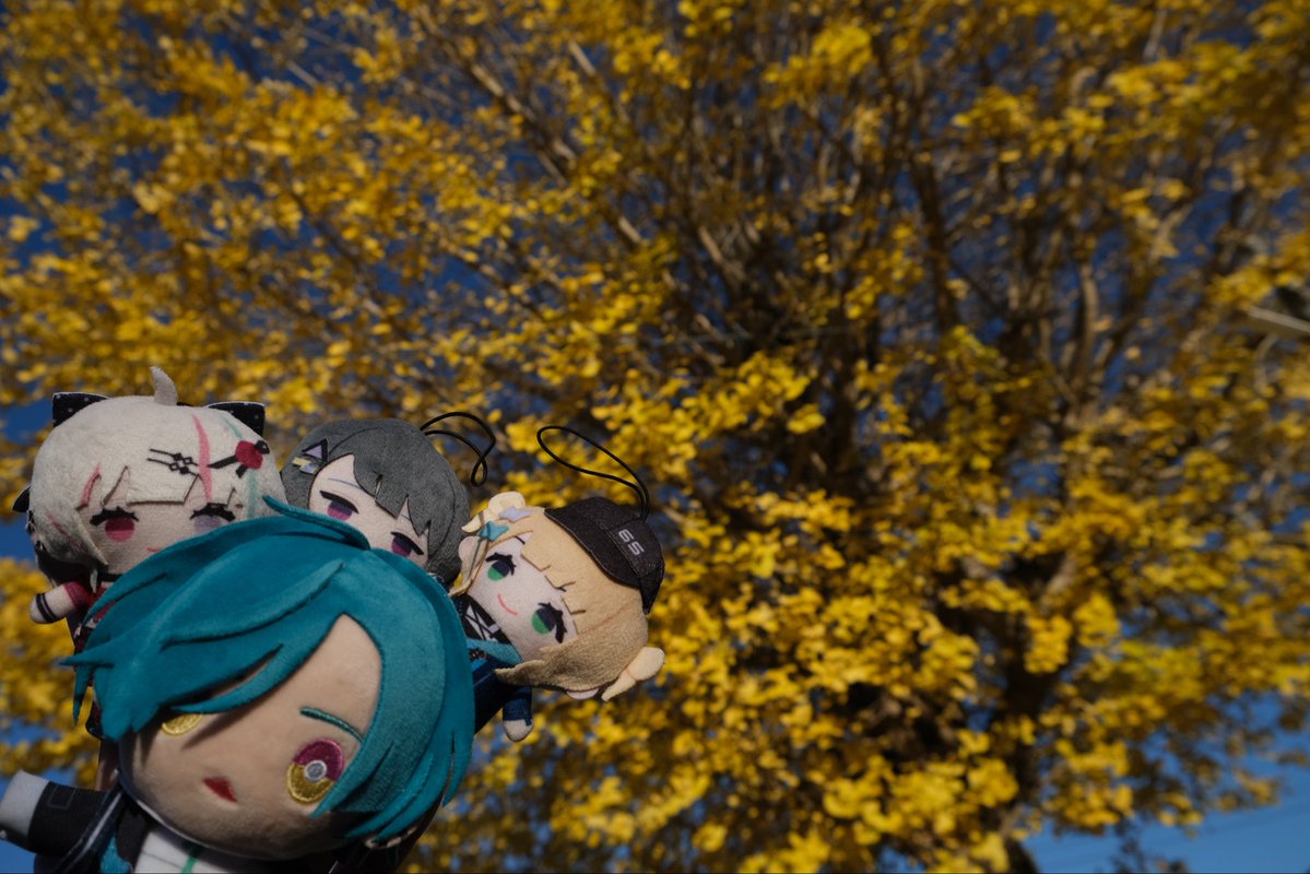 HU2434's tweet image. 【Idios &amp;amp; 緑さんとお肉・紅葉満喫旅 in三重県】 その6
名松線の終点・伊勢奥津(いせおきつ)。元々奈良県まで続く筈だった線路は、繋がることなく今に至ります。
駅前には大きなイチョウの木。散り始めてはいたけど美しいね。
#しーちゃんみてみてっ
#つぶやきろこ
#石神のぞいて
#緑仙はやく見ろ