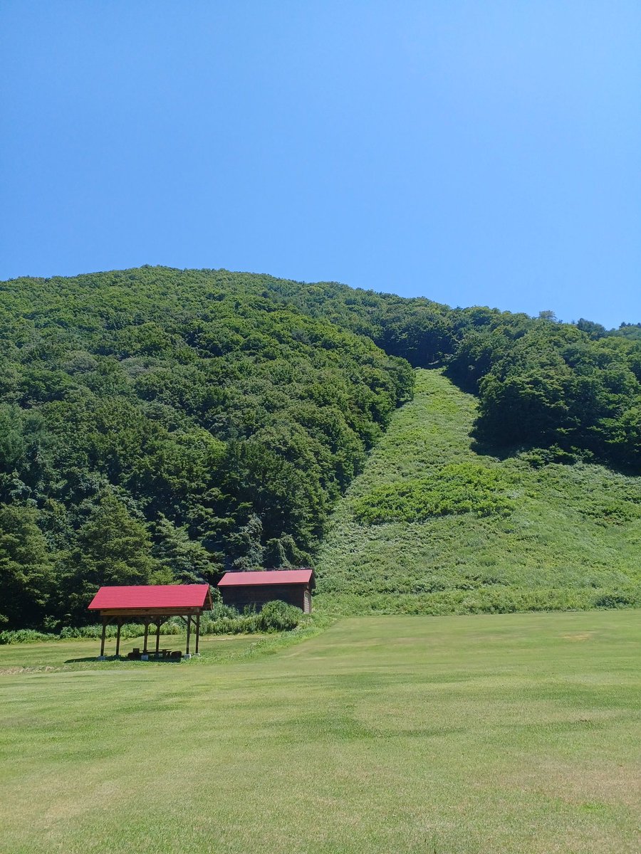 dM5sulORLwG4cKn's tweet image. Xの皆さん、こんばんは！🤗❤️🌃昨日の続きです！😆地元から車で3時間かけて檜枝岐村に到着しました！🙌まず道の駅尾瀬檜枝岐に寄って、ハコネサンショウウオの燻製を買いました！🦎前から気になっていたのですが、いざ目の当たりにするとものすごいインパクトでした！🤪　#檜枝岐村　#道の駅尾瀬檜枝岐