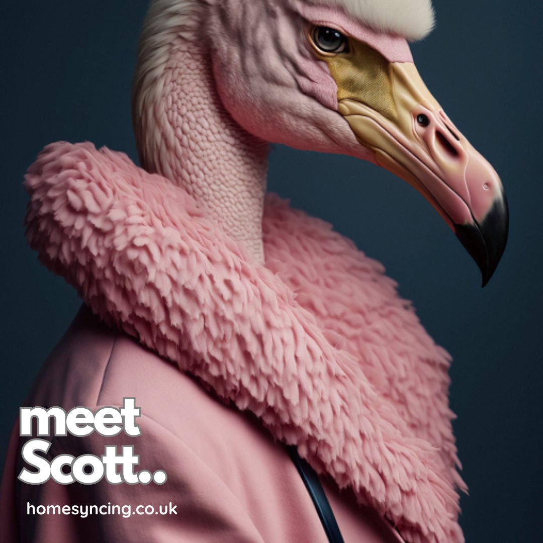 homesyncing's tweet image. Say hello to Scott — a pink flamingo with major style. 🦩💗
Feather collar. Fabulous coat. High-gloss tempered glass.
homesyncing.co.uk

#ScottTheFlamingo #GlassWallArt #HomeSyncing #ModernDecor #PopArtStyle #UKHomeDecor #flamingo #flamingoart #loveflamingos