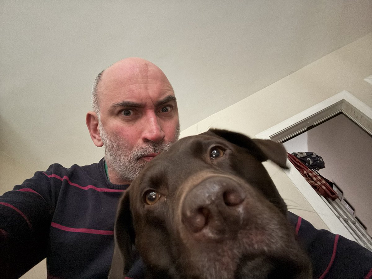 DavadSteel's tweet image. Good afternoon.