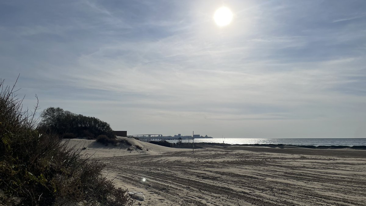 dim447's tweet image. Джемете