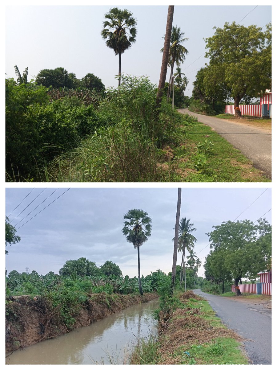 தூத்துக்குடி மாவட்டத்தில் தற்போது நாம் சீரமைத்து கொண்டிருக்கும் 1835 ஏக்கர் கடம்பா குளத்தின் வரத்து வாய்க்காலின் ஒரு இடம்.