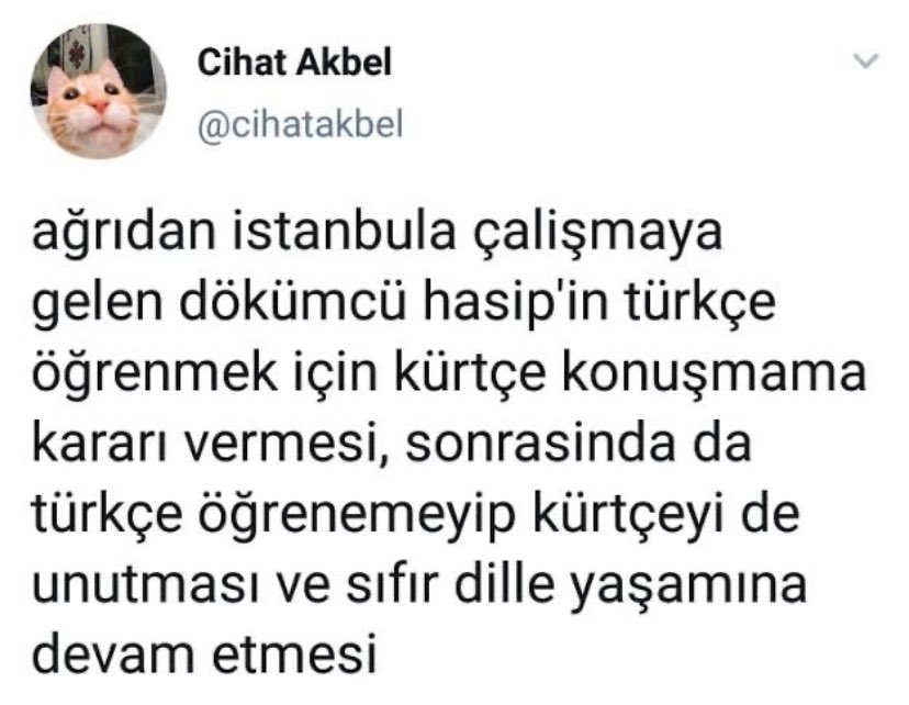 as takıma alınmadı diye guidettiyle kavga edince vakıftan ayrılıp fenere gelip fenerde de aydına karsı bile oynatılmayan liza