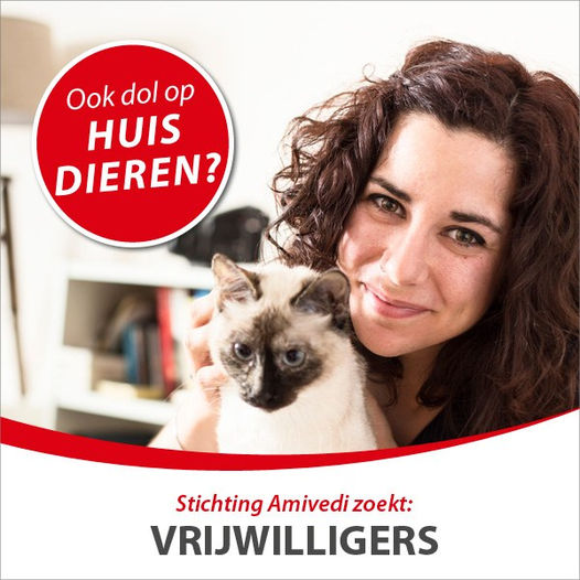 Vermist huisdier? Wij helpen gratis - maar hebben JOU nu nodig!
Elk jaar helpen we duizenden eigenaren hun vermiste huisdier terug te vinden. Volledig kosteloos. Maar zonder jouw steun kunnen we dit niet volhouden!
👉 Scan onze Tikkie QR-code of stort op NL77 INGB 0000 2651 90