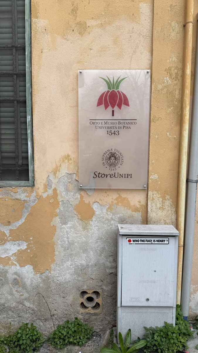 course8cheduler's tweet image. #AlphabetChallenge #WeekUforUnloved
It’s not just the wall, don’t think Henry gets much love 😔