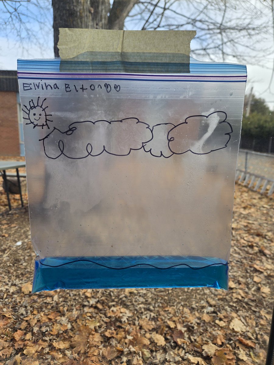 Mrs. Perrone tweet media