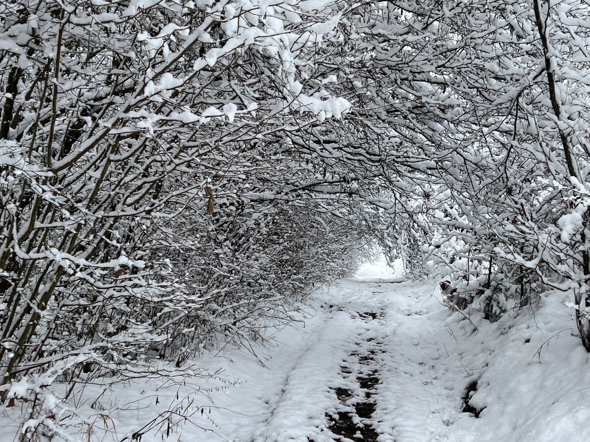 peter sorkovsky tweet media