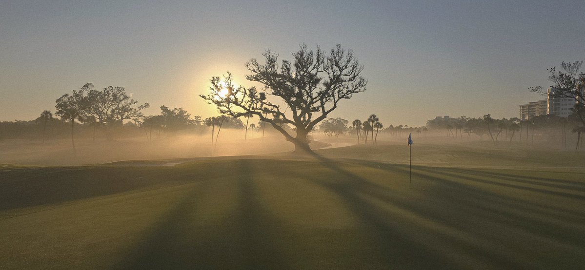 turfmonkeyboy's tweet image. &quot;Pea-tree Dish&quot; Season in paradise with the best team ever.