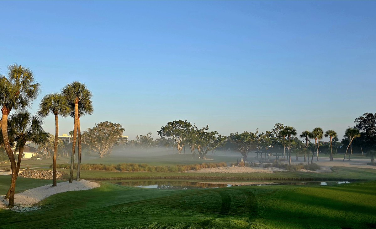 turfmonkeyboy's tweet image. &quot;Pea-tree Dish&quot; Season in paradise with the best team ever.