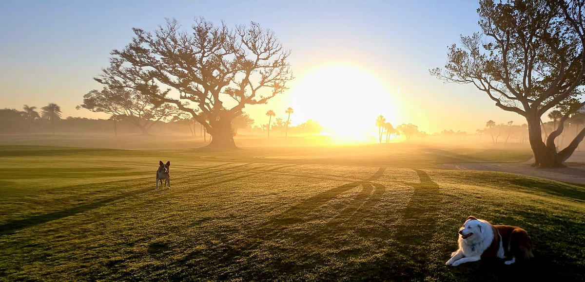 turfmonkeyboy's tweet image. &quot;Pea-tree Dish&quot; Season in paradise with the best team ever.
