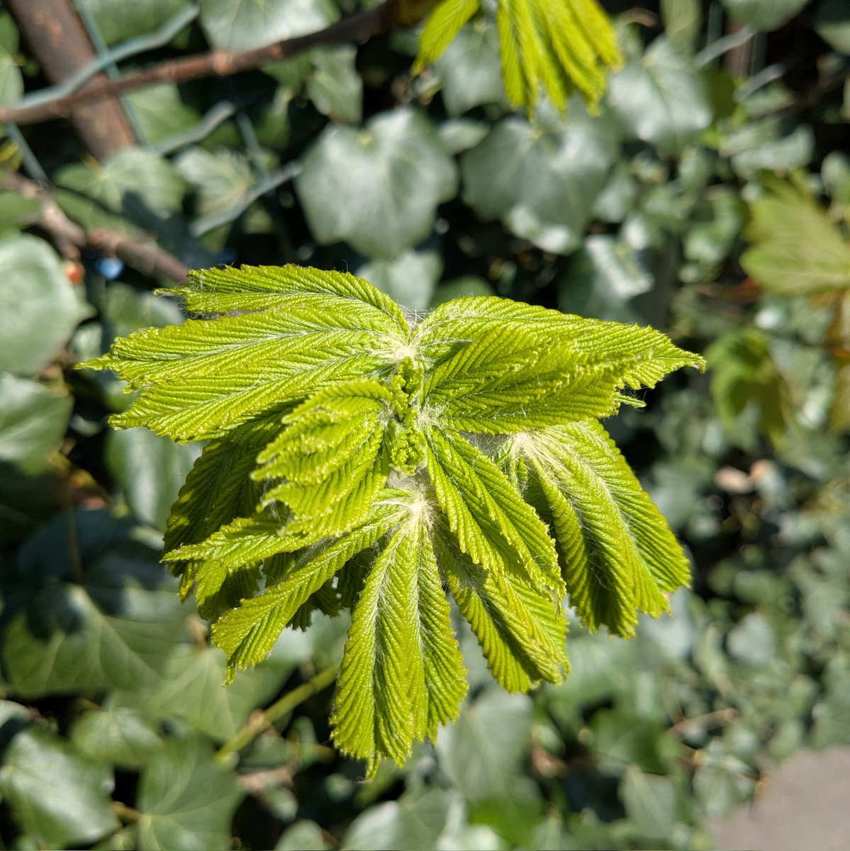 Stéphanie Migniot tweet media