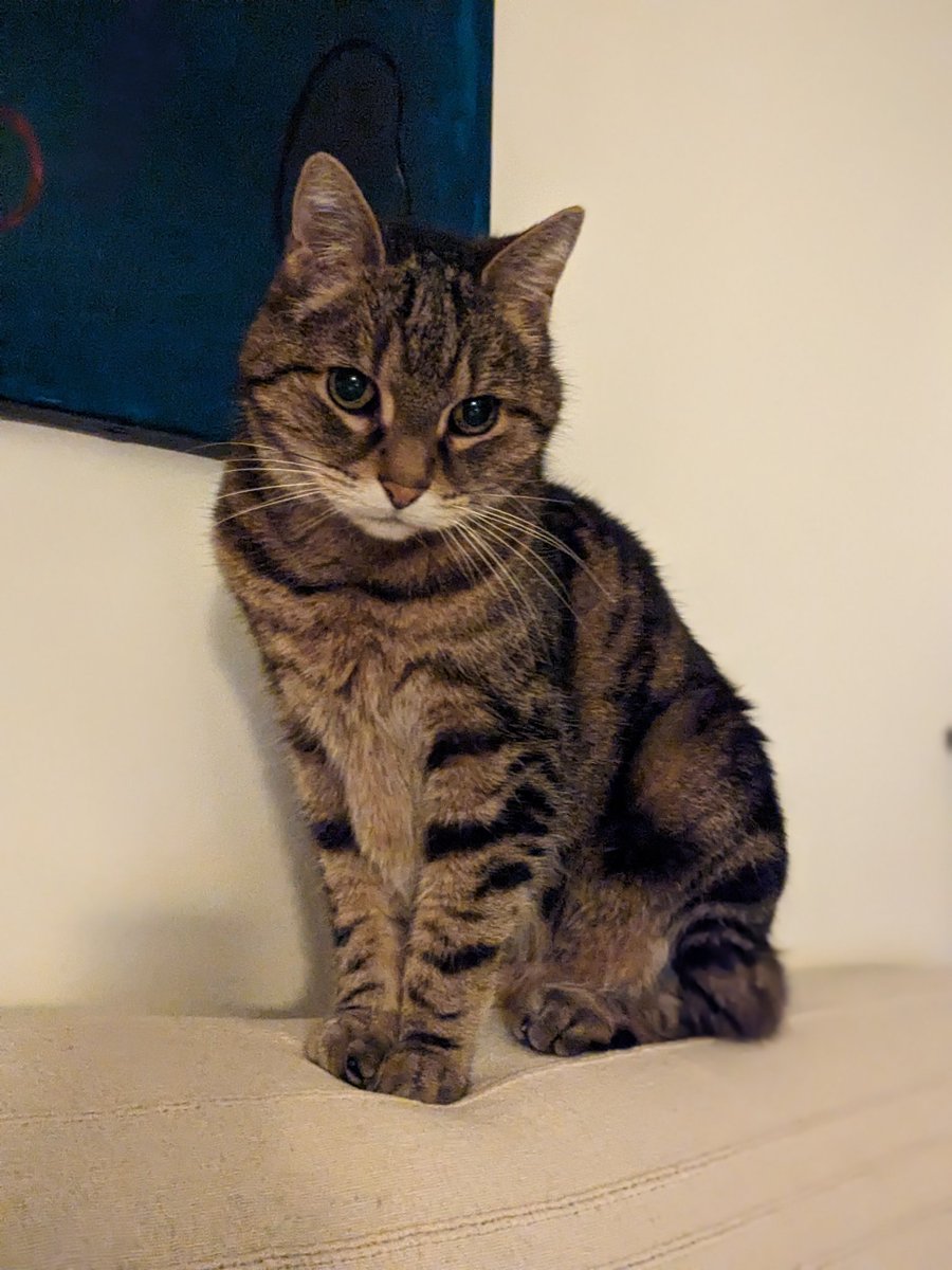 Stéphanie Migniot tweet media