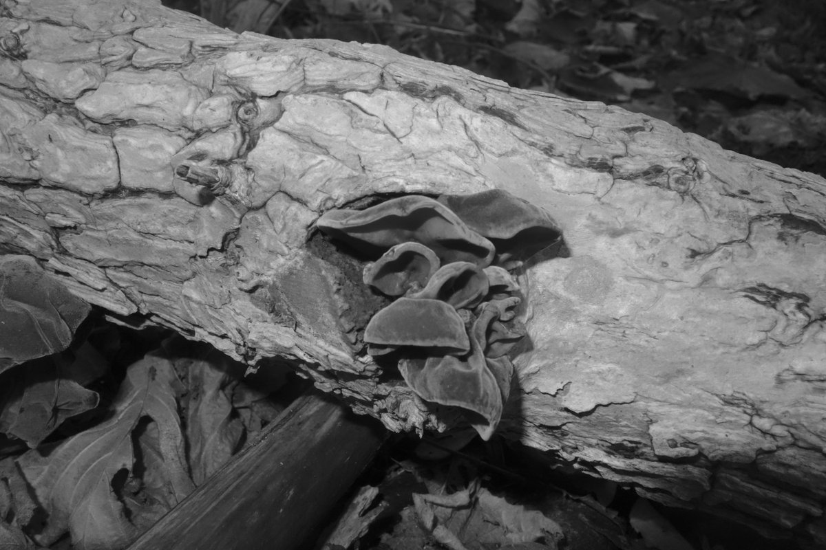 Alexander (@juststrangefeel) on Twitter photo 