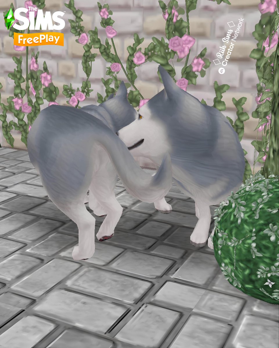 Rih_Sims's tweet image. 🇧🇷“Cumprimentos e saudações caninas”

O melhor amigo do teu Sim está a ganhar novos comportamentos autónomos!
Quando vários cães adultos estão no mesmo local, eles podem realizar uma dessas novas interações!

🇺🇸“Canine Greetings and Salutations”

Your Sim’s best friend is getting…