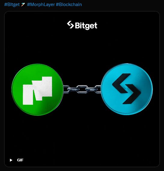 AteKome_SOL's tweet photo. @BitgetIndia @morphnetwork Bitget UID: 3623164526
Hey @irahus77 @ArieArif_ @NIGGARDIO_SOL wanna build on @morphnetwork using $BGB? Let's GO! 👊😎
#Bitget #MorphLayer #Blockchain https://t.co/hbpuuSvocg