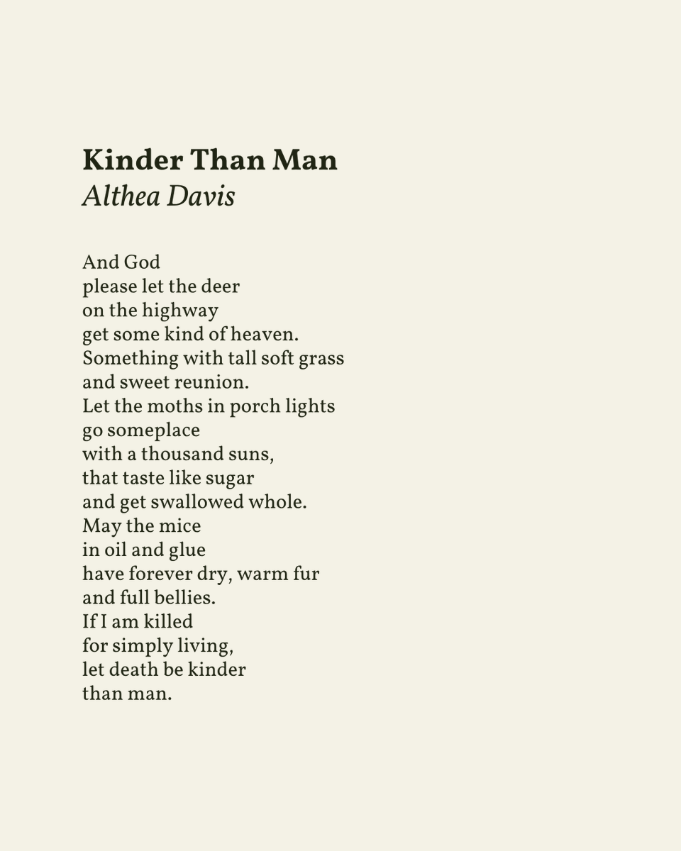 readalittlepoem's tweet photo. “If I am killed / for simply living, / let death be kinder / than man.”

— Althea Davis https://t.co/NU5Xc37jHb