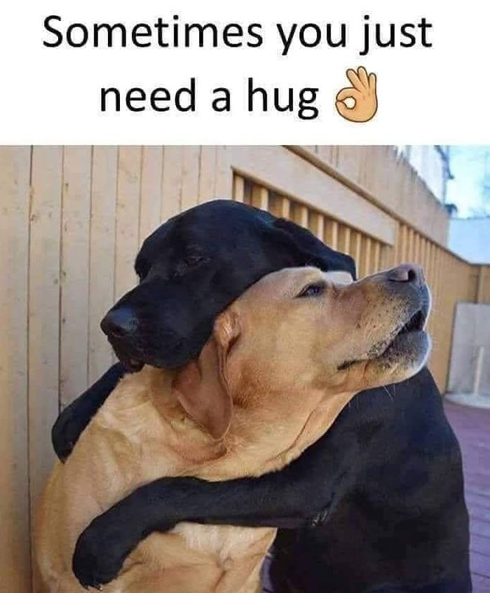 AndrewBorn65732's tweet image. Her office style is chic yet effortless, blending professionalism with charm, making workdays look inspiring. #WorkStyle 👩‍💼