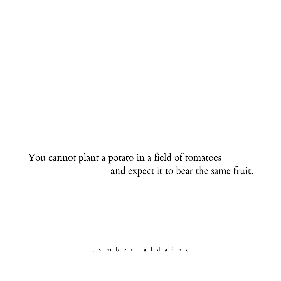 TymberAldaine's tweet photo. Gravitate toward what celebrates your truth, and allow yourself to become within spaces that do not deny the true value of your God-given gifts. 
#tymberaldaine 

#poetry #POEMS #poetrytwitter  #Writers #poetsofTwitter #poetrylovers  #art #poetrycommunity #writersoftwitter https://t.co/W4PnZ7kbAX