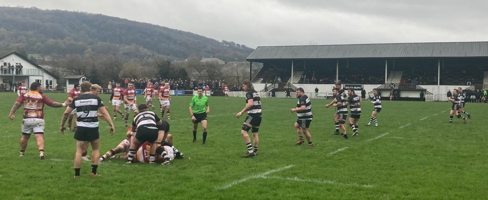 Fylde Rugby tweet media