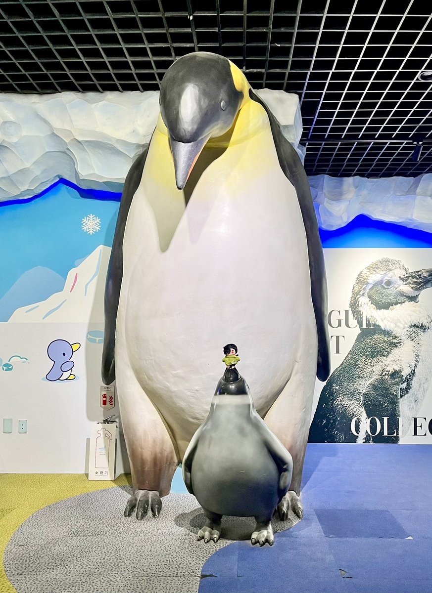 즘… Bluesky @KIDWMA tweet media