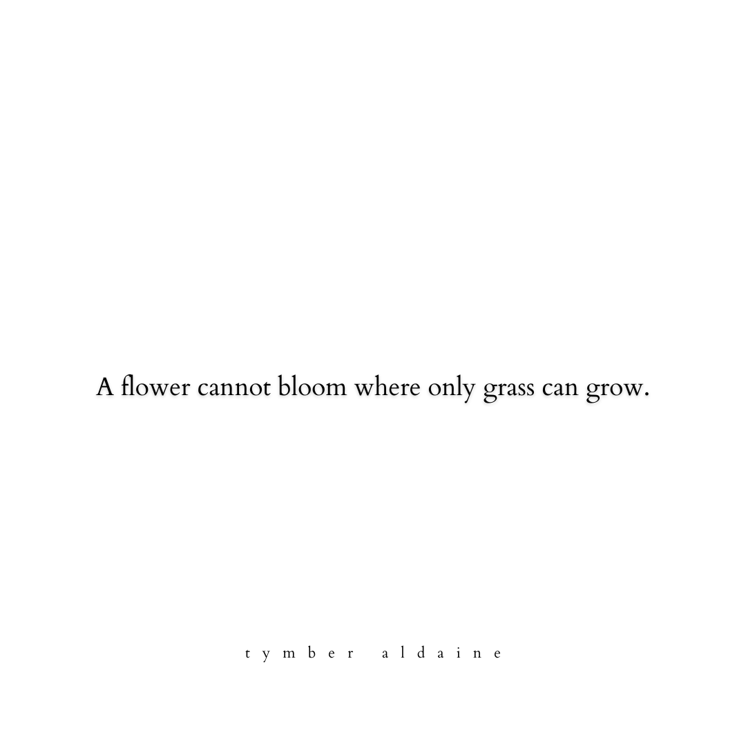 TymberAldaine's tweet photo. Without the right conditions, even watered daily, tolerance limits the soil and courage becomes poison—causing even the most promising seeds of potential to curl and wither like raisins. Environment is everything!
#tymberaldaine  

#poetry #POEMS #poetrytwitter #poetrycommunity https://t.co/iisP8l80hz