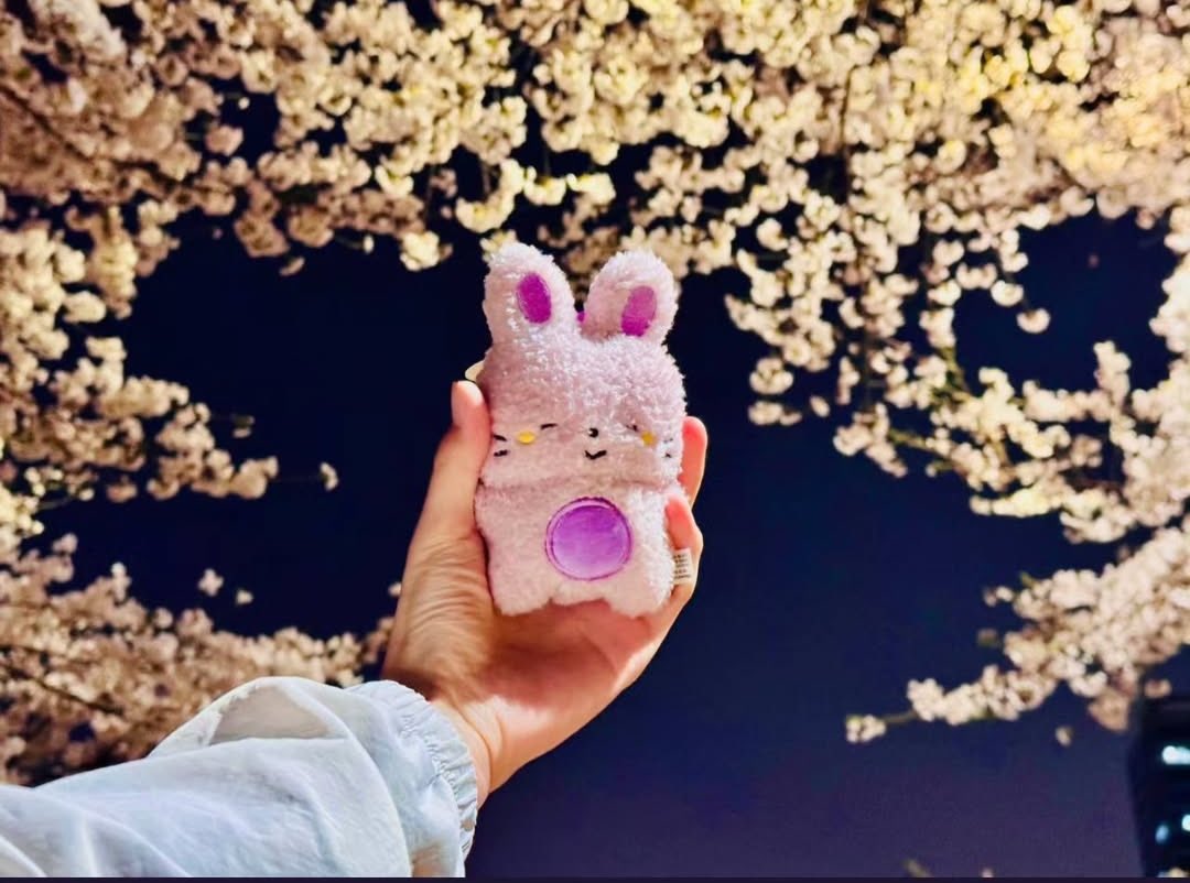 #RT
나도 트위터 미신…
이번 기말 평균 95 넘으면 RT해주신 한 분한테 픽셀리 굿즈 랜박 보내드릴게요🙏
제발…!