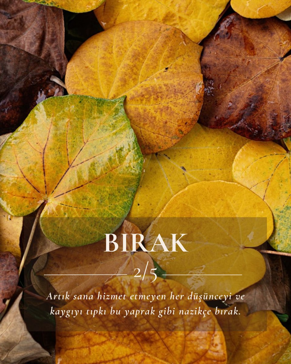BIRAK

Sonbahar bize bırakmayı öğretir. Artık size hizmet etmeyen her düşünceyi ve kaygıyı tıpkı bu yaprak gibi nazikçe bırakın.