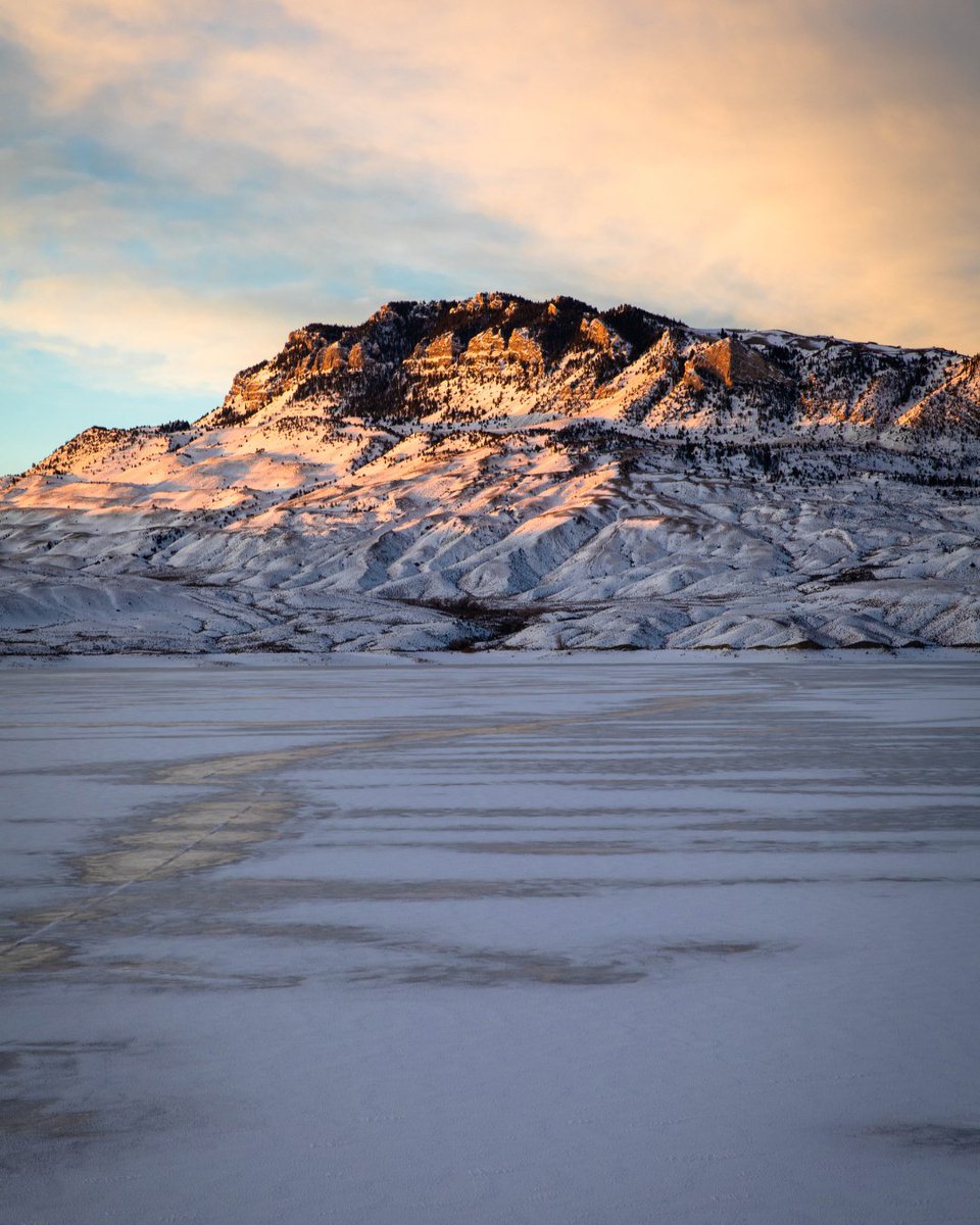 CodyYellowstone's tweet photo. Golden light, snow-dusted mountains, and the incredible wildlife of Cody Yellowstone. Swipe for your dose of Wyoming magic! ✨ https://t.co/HDRLxVYGYY
