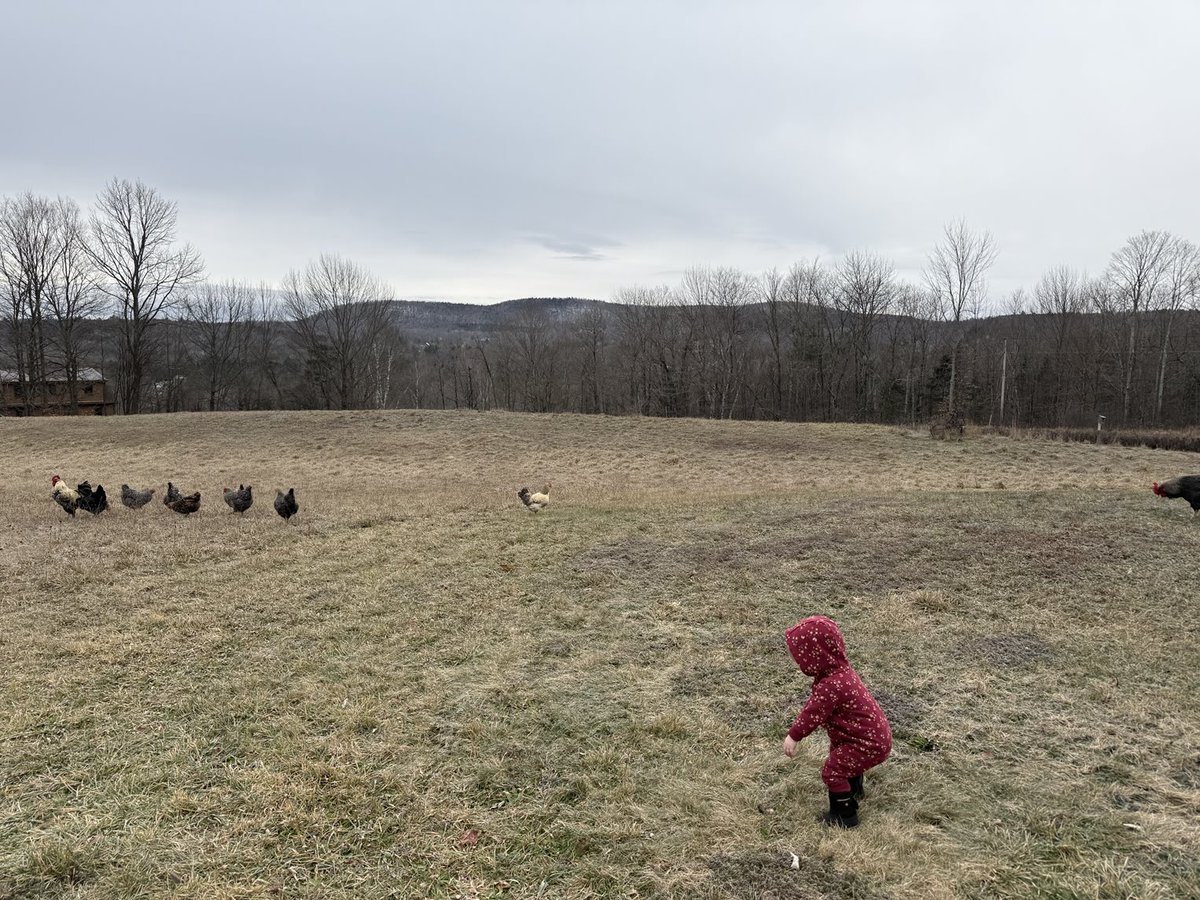 OldHollowTree's tweet image. Good morning.