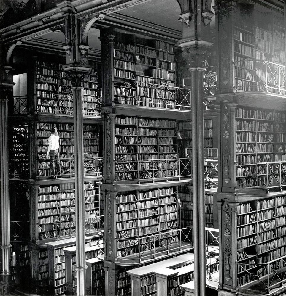 El yonki de los mercados tweet media