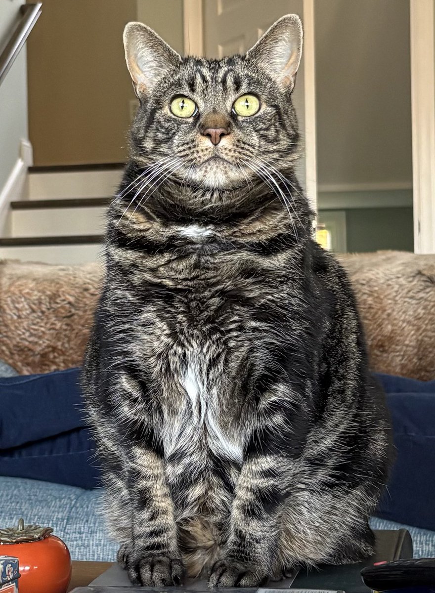 She is fatter than ever before